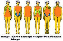 Picturer of Female Body Shapes