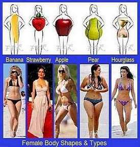 Picturer of Body Types