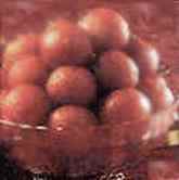 Gulab Jamun