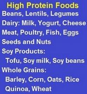 List of high Protein Foods