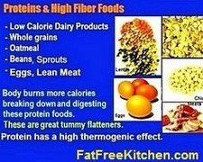 Protein foods that reduce body fat