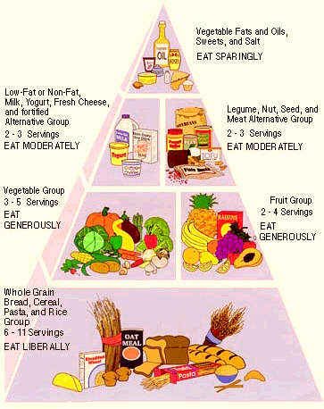 Food Pyramid