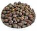 Black Peppercorn