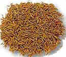 Cumin Seeds